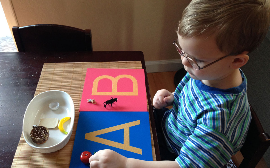 Montessori Language Cards And How To Create A Language Basket