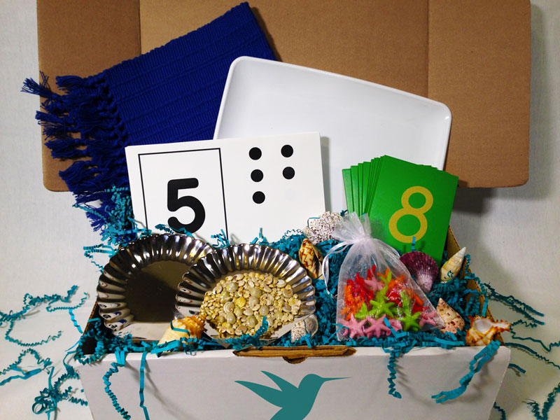 Remembering Our First Montessori Toolbox: Shells And Starfish