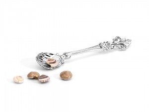 Shell Spoon