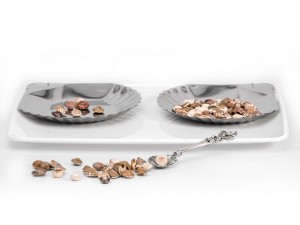 Seashell Transfer Activity Set
