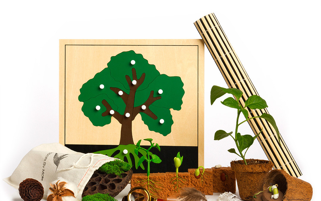 Shoots and Sprouts