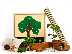 Shoots and Sprouts Montessori Toolbox