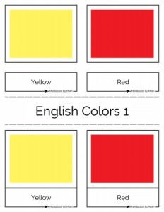 3 Part Color Cards English
