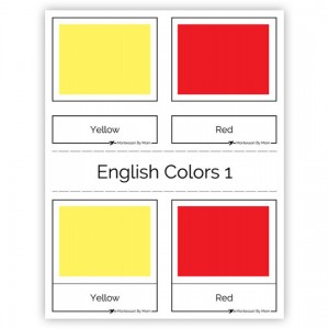 3 Part Color Cards English