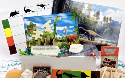 Dinosaur Discovery