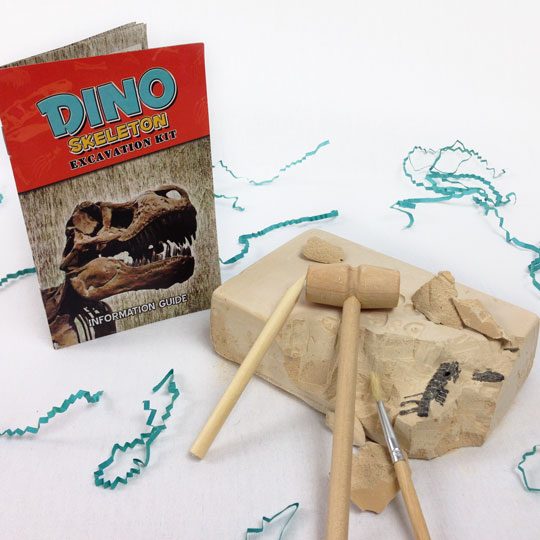 target dinosaur dig kit