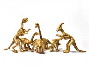 Dinosaur Fossil Models