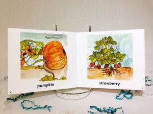 Garden Book