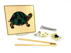 Montessori Transfer Activities