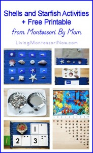 Eye catching pictures for the review of Shells and Starfish by Montessori By Mom on Living Montessori Now.