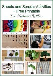 So much fun with this Shoot and Sprouts Toolbox from Montessori By Mom on Living Montessori Now.