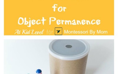 DIY Imbucare for Object Permanence