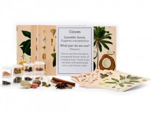 15 Spice Set and Cards