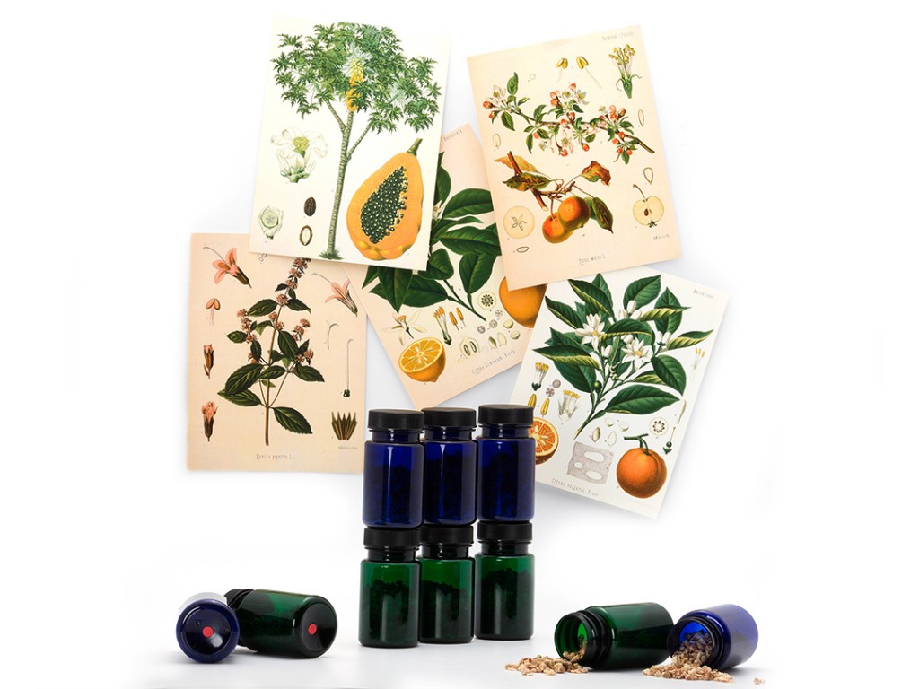 Botany Card Set Montessori By Mom