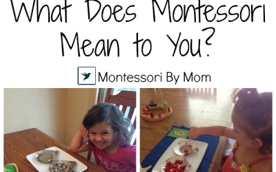 What Does Montessori Mean to You?