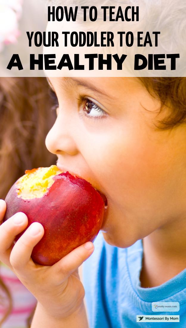 Toddlers and preschoolers are not always willing to eat well. Check out these amazing tips on how help your toddler eat healthy foods!