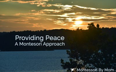 Providing Peace, a Montessori Approach