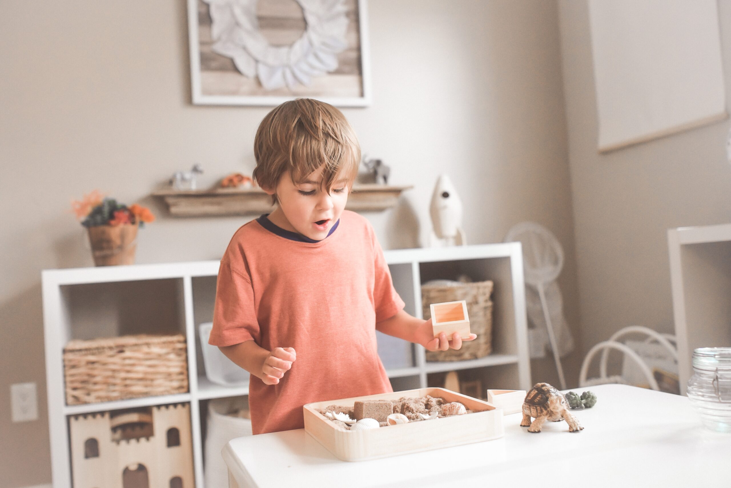 Montessori language cards