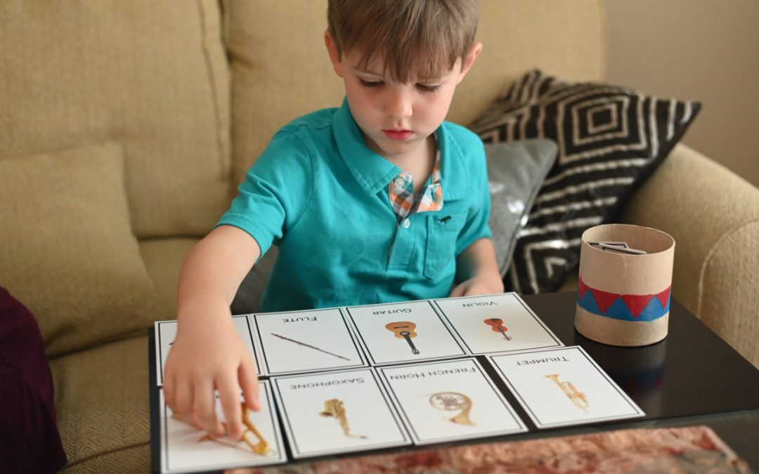 Montessori 3-Part Cards: The Why & How