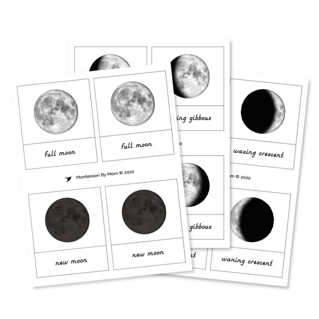 3-Part Cards For Moon Phases