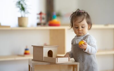 Creating A Montessori Learning Environment
