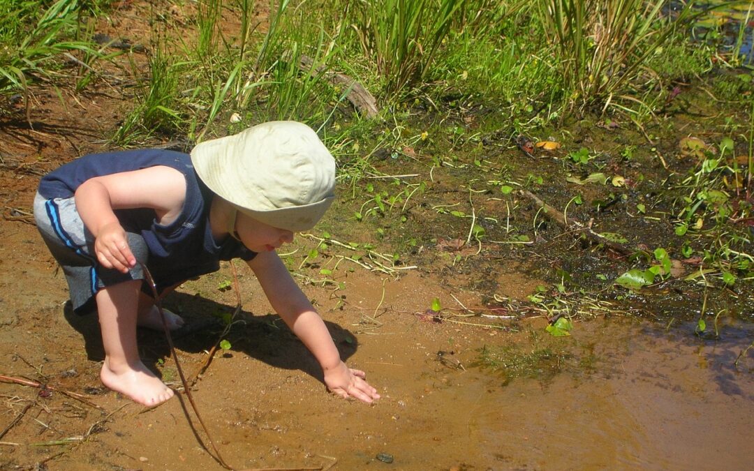 5 Reasons Nature Matters In A Montessori Environment