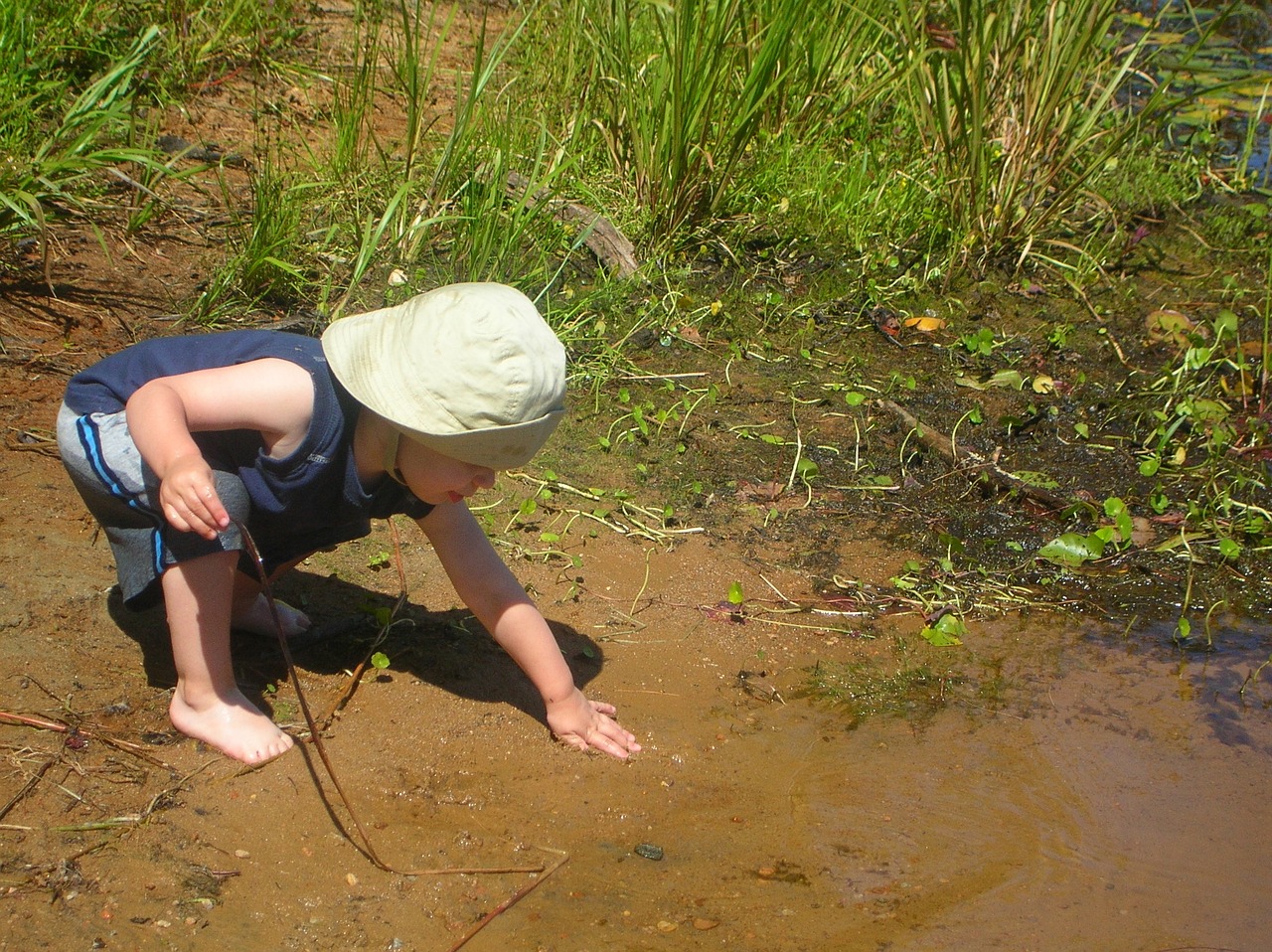 Nature in a Montessori Environment