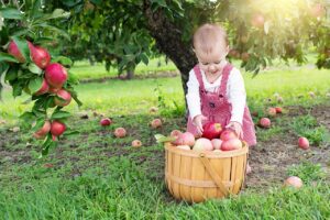 Nature in a Montessori Environment