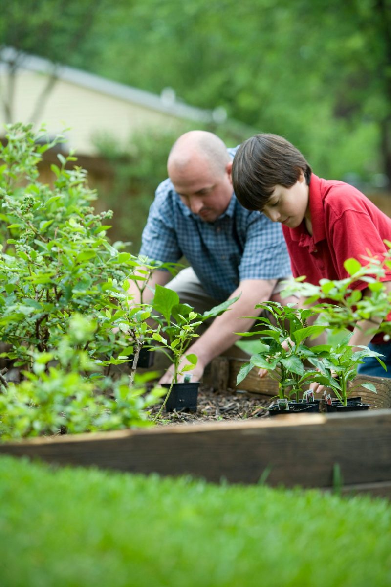 helpfulness in kids