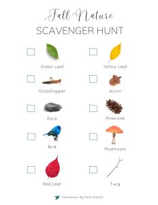 Montessori Printable Fall Scavenger Hunt